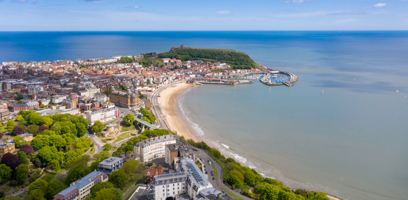 Rätselhaftes Volkslied mit Kräutern: Scarborough Fair